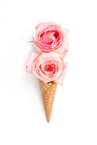 Two scoops by Olivia Lorot on GIANT ART - pink photo illustration