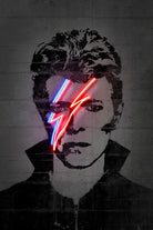 Bowie by Octavian Mihai Mielu on GIANT ART - red digital drawing