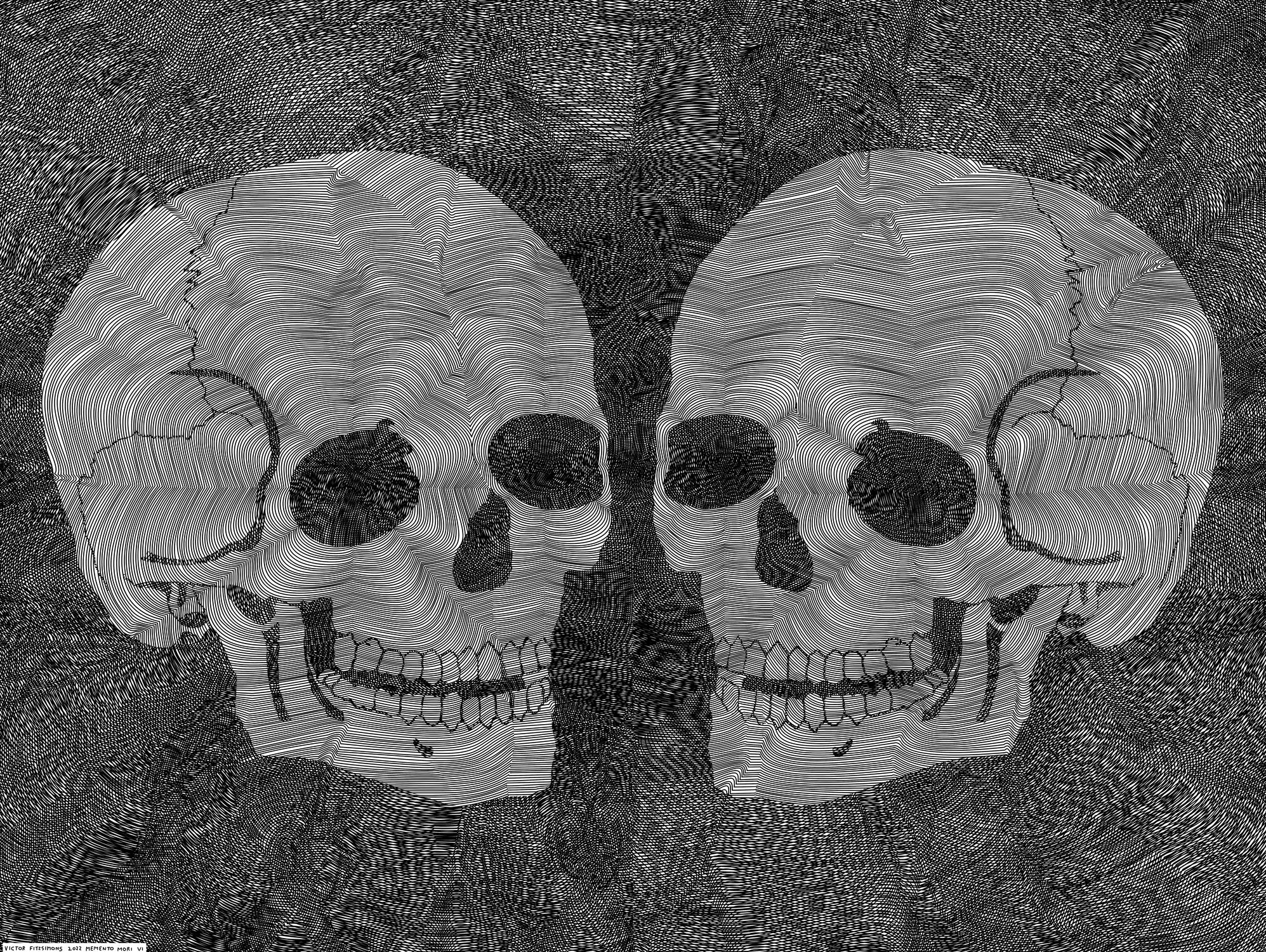 Memento Mori VI by Victor Fitzsimons on GIANT ART - black digital drawing