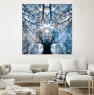 Meditative power of forest by SILVIA WISCHEROPP on GIANT ART - blue photo illustration