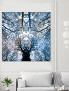 Meditative power of forest by SILVIA WISCHEROPP on GIANT ART - blue photo illustration