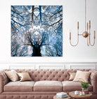 Meditative power of forest by SILVIA WISCHEROPP on GIANT ART - blue photo illustration