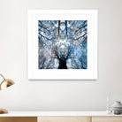 Meditative power of forest by SILVIA WISCHEROPP on GIANT ART - blue photo illustration