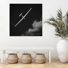 Like a Bird by Andrei Dragomirescu on GIANT ART - black photo illustration