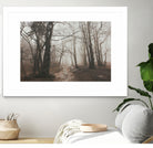 Spooky Forest by Dominika Aniola on GIANT ART - brown photo illustration