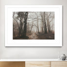 Spooky Forest by Dominika Aniola on GIANT ART - brown photo illustration