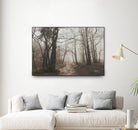 Spooky Forest by Dominika Aniola on GIANT ART - brown photo illustration