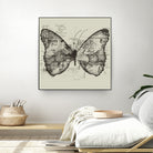 Butterfly Effect by Tobias Fonseca on GIANT ART - brown digital drawing