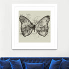 Butterfly Effect by Tobias Fonseca on GIANT ART - brown digital drawing