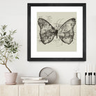 Butterfly Effect by Tobias Fonseca on GIANT ART - brown digital drawing