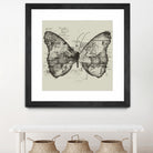 Butterfly Effect by Tobias Fonseca on GIANT ART - brown digital drawing