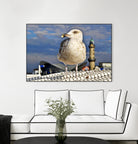 Magic Seagull on the Baltic Sea by SILVIA WISCHEROPP on GIANT ART - blue photo illustration