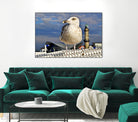 Magic Seagull on the Baltic Sea by SILVIA WISCHEROPP on GIANT ART - blue photo illustration