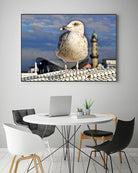 Magic Seagull on the Baltic Sea by SILVIA WISCHEROPP on GIANT ART - blue photo illustration