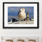 Magic Seagull on the Baltic Sea by SILVIA WISCHEROPP on GIANT ART - blue photo illustration