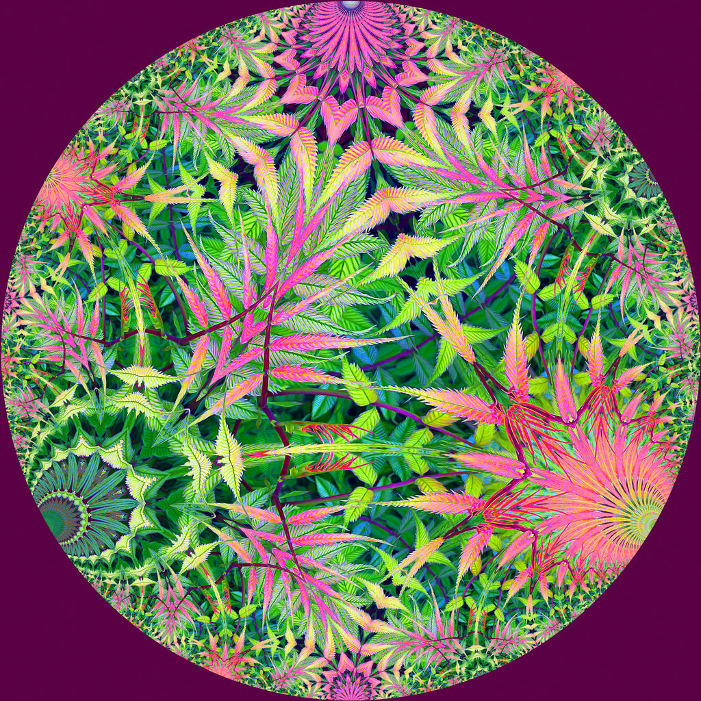 Hyperbolic Jungle by Digital Crafts on GIANT ART - green digital painting