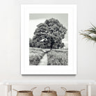 El Árbol by Adrian Daine on GIANT ART - white photo illustration