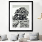 El Árbol by Adrian Daine on GIANT ART - white photo illustration