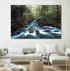 River through the Woods by William Cuccio on GIANT ART - green photo illustration