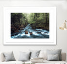 River through the Woods by William Cuccio on GIANT ART - green photo illustration