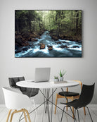 River through the Woods by William Cuccio on GIANT ART - green photo illustration