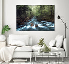 River through the Woods by William Cuccio on GIANT ART - green photo illustration