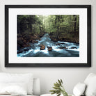 River through the Woods by William Cuccio on GIANT ART - green photo illustration