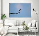 Happy Hoppy Bird by Chris Jackson on GIANT ART - brown mixed media