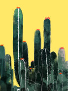 Cactus by Ümmühan Türk on GIANT ART - green digital painting