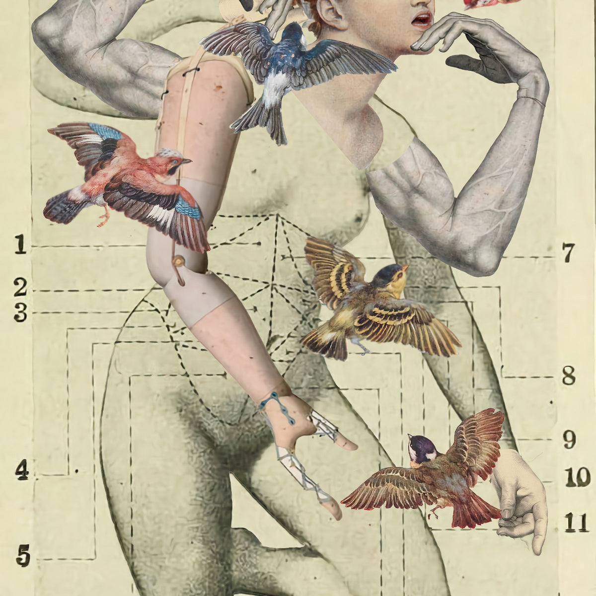 hyperactive - Art Print by Julia Lillard | GIANT ART