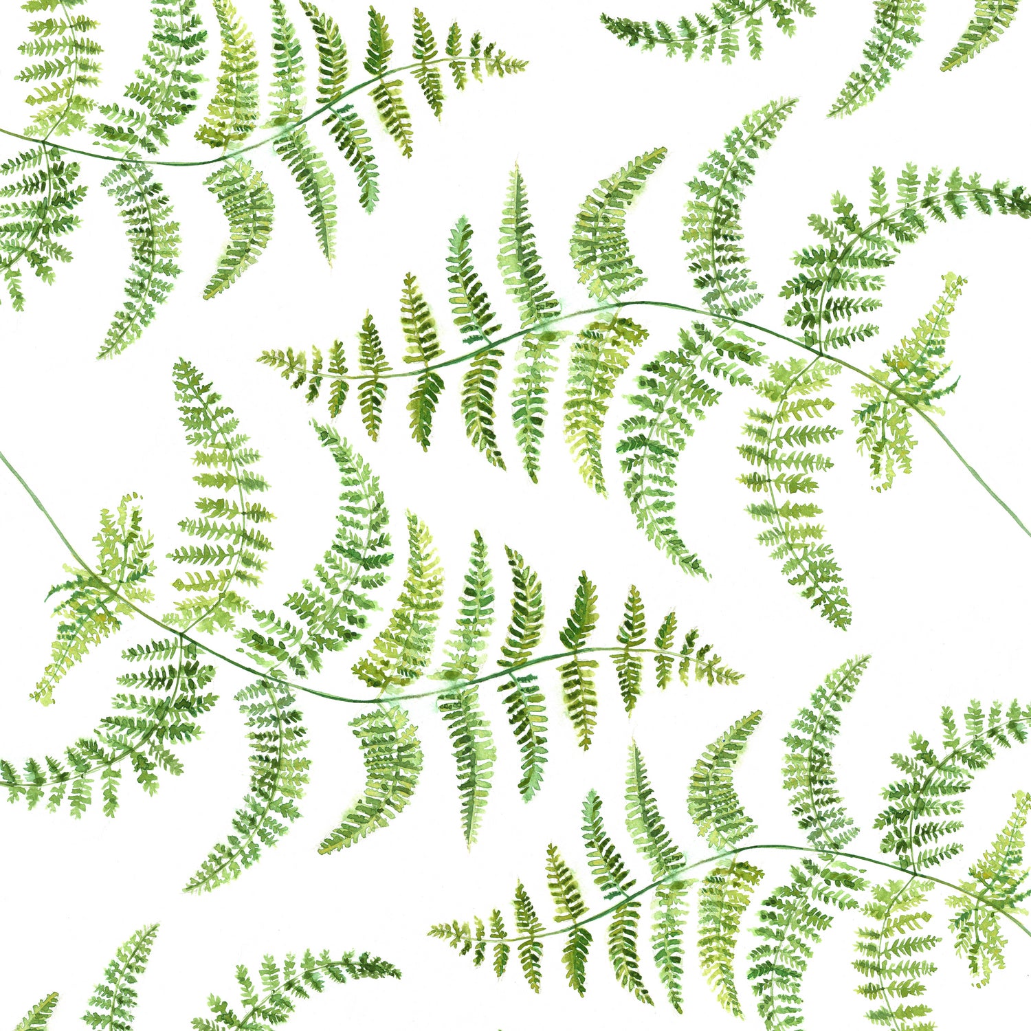 Fern pattern by Polina Ganzina on GIANT ART - white mixed media