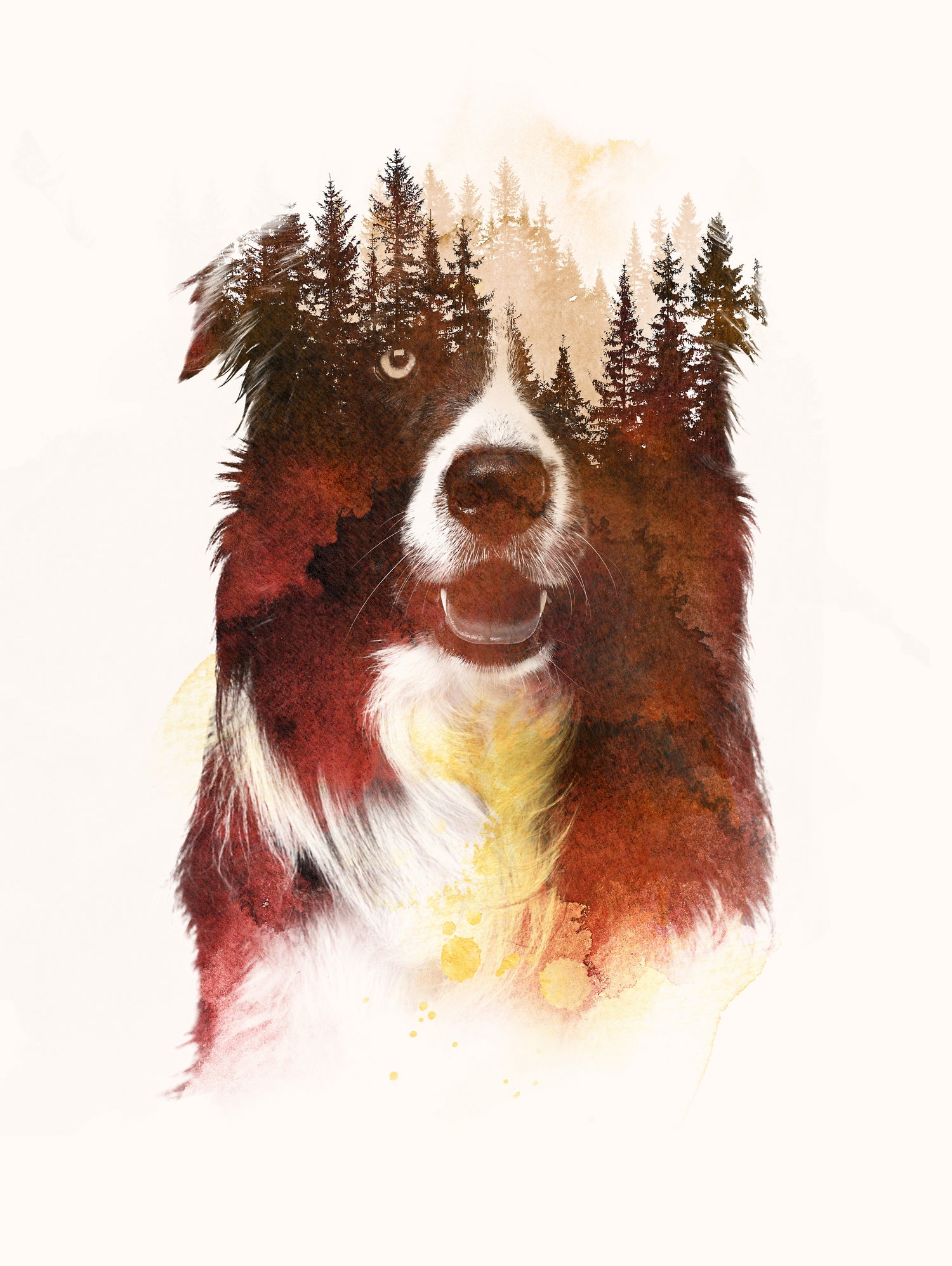 One night in the forest by Robert Farkas on GIANT ART - brown digital painting