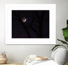 November Moon by Renee Reese on GIANT ART - black photo illustration