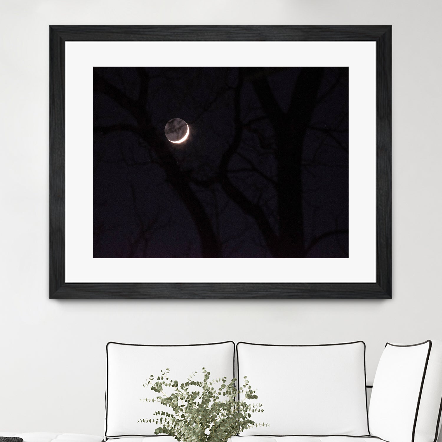 November Moon by Renee Reese on GIANT ART - black photo illustration