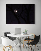 November Moon by Renee Reese on GIANT ART - black photo illustration