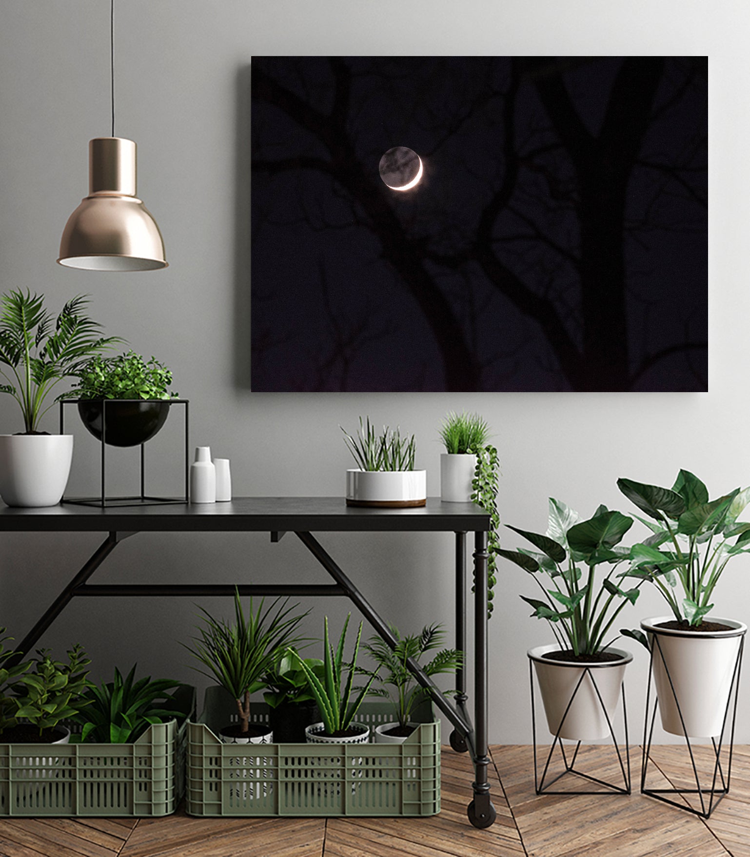 November Moon by Renee Reese on GIANT ART - black photo illustration