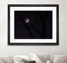 November Moon by Renee Reese on GIANT ART - black photo illustration