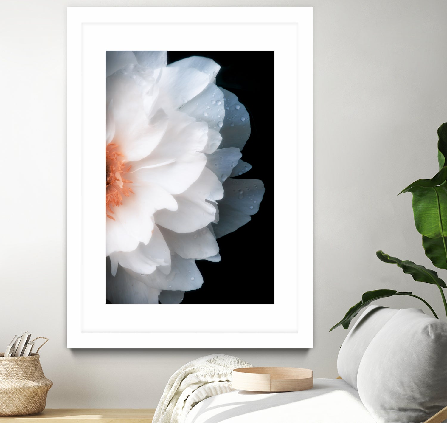 White Flower by Konstantin Sevostyanov on GIANT ART - white photo illustration