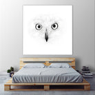 The Owl by Monica Cipriano on GIANT ART - white photo illustration