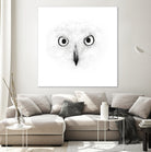 The Owl by Monica Cipriano on GIANT ART - white photo illustration