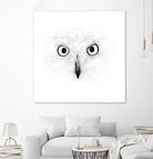 The Owl by Monica Cipriano on GIANT ART - white photo illustration