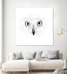 The Owl by Monica Cipriano on GIANT ART - white photo illustration