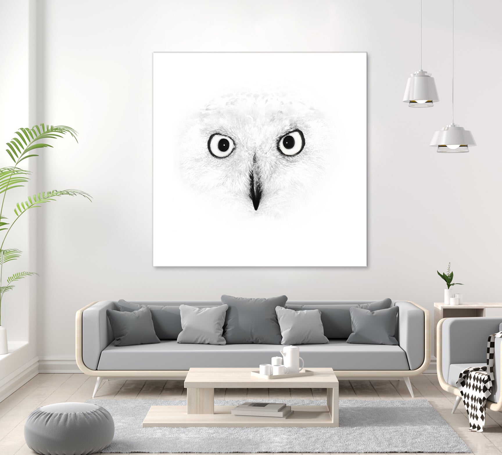 The Owl by Monica Cipriano on GIANT ART - white photo illustration