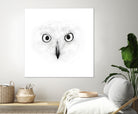 The Owl by Monica Cipriano on GIANT ART - white photo illustration