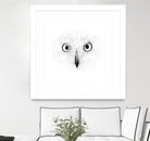 The Owl by Monica Cipriano on GIANT ART - white photo illustration