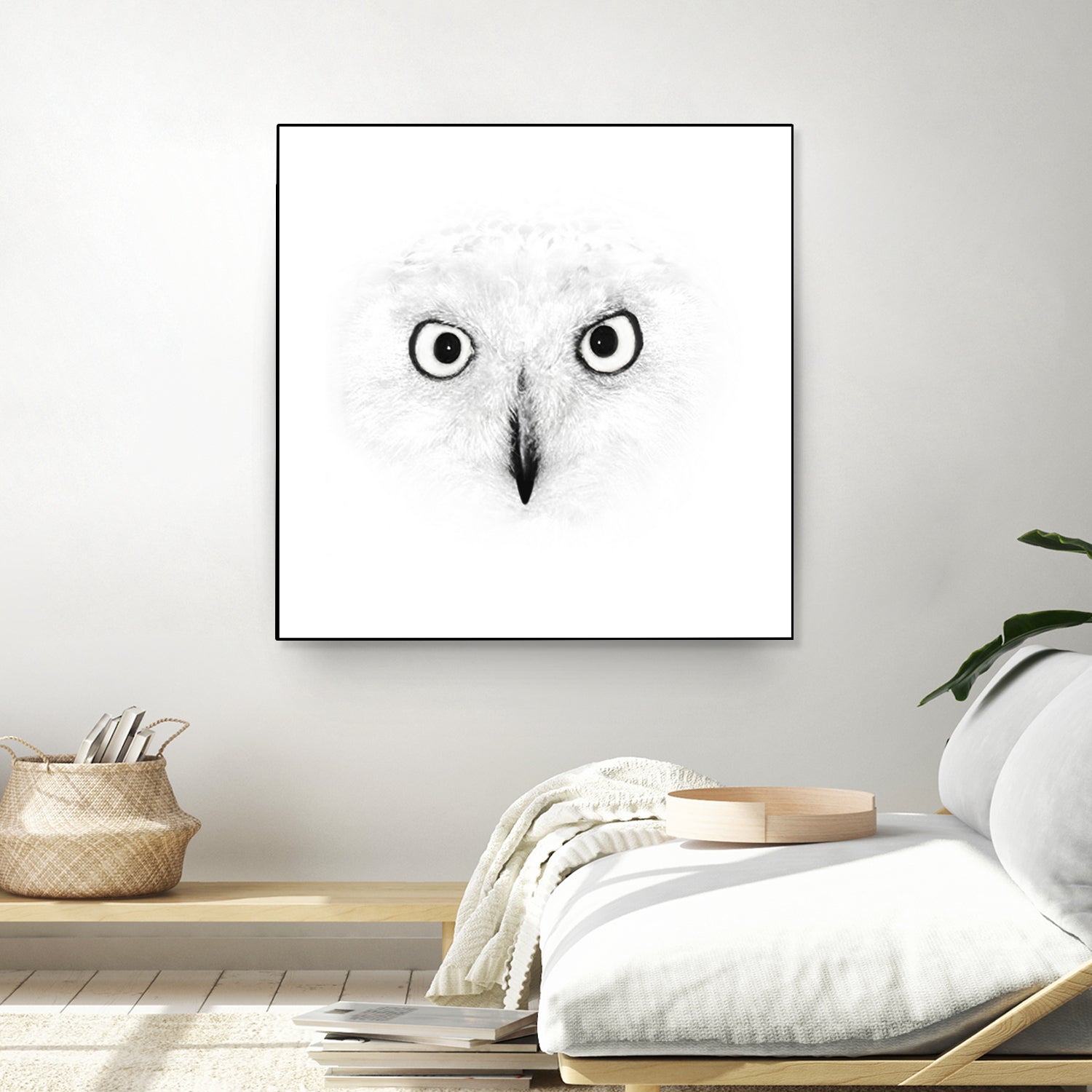 The Owl by Monica Cipriano on GIANT ART - white photo illustration