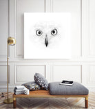 The Owl by Monica Cipriano on GIANT ART - white photo illustration