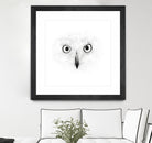 The Owl by Monica Cipriano on GIANT ART - white photo illustration