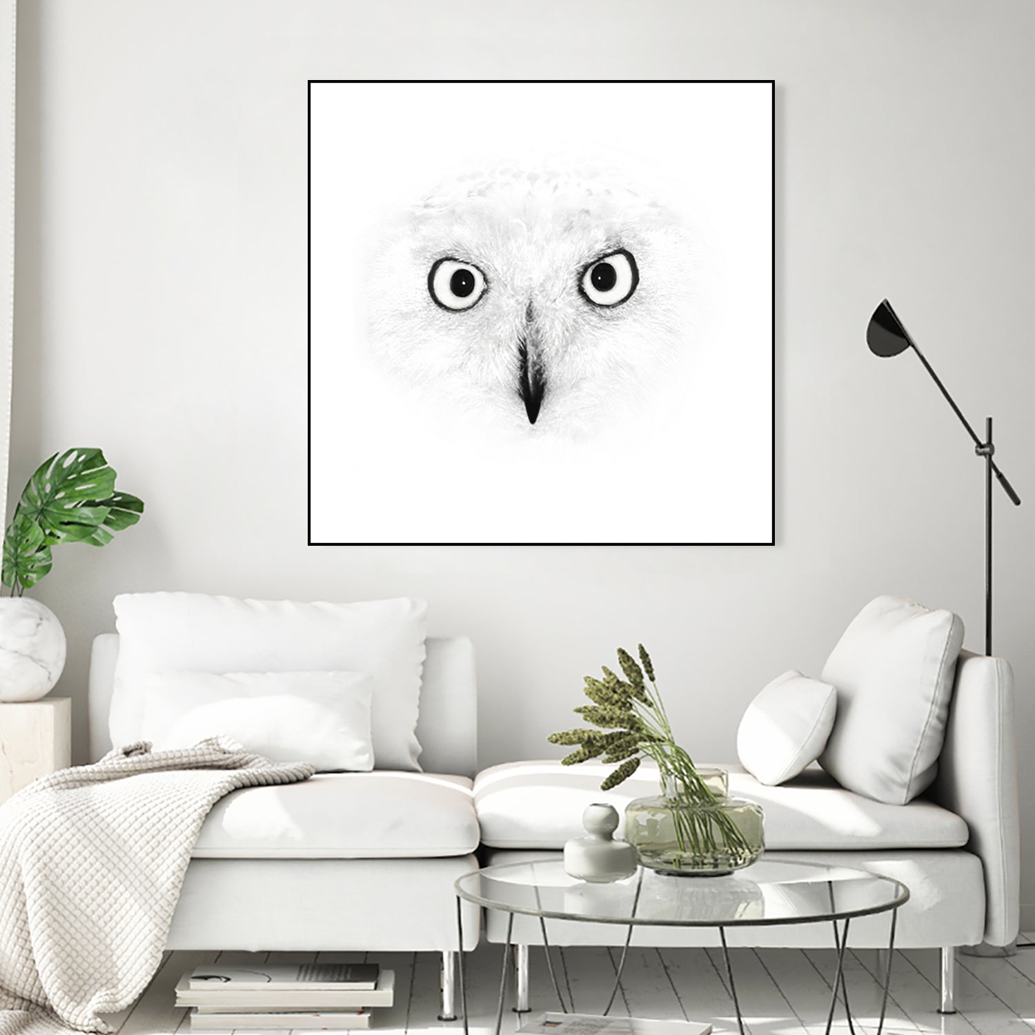 The Owl by Monica Cipriano on GIANT ART - white photo illustration