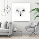 The Owl by Monica Cipriano on GIANT ART - white photo illustration